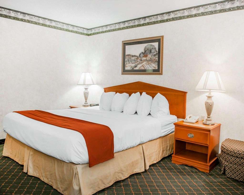 Quality Inn & Suites Brownsburg - Indianapolis West Номер фото